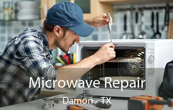  Microwave Repair Damon - TX