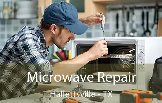  Microwave Repair Hallettsville - TX