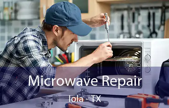 Microwave Repair Iola - TX