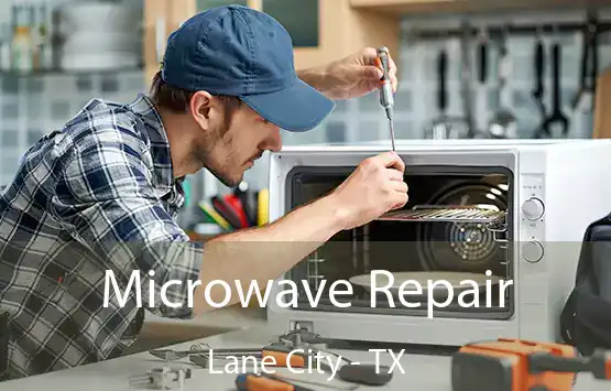  Microwave Repair Lane City - TX