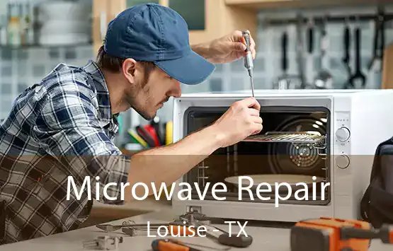  Microwave Repair Louise - TX
