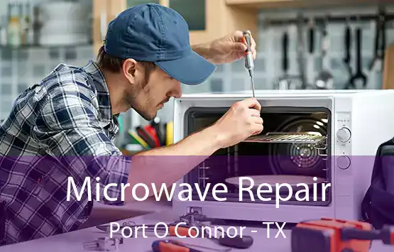  Microwave Repair Port O Connor - TX