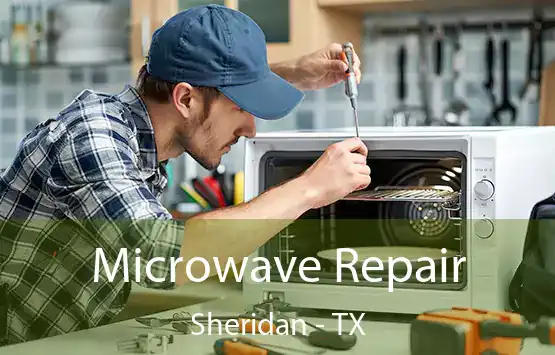  Microwave Repair Sheridan - TX