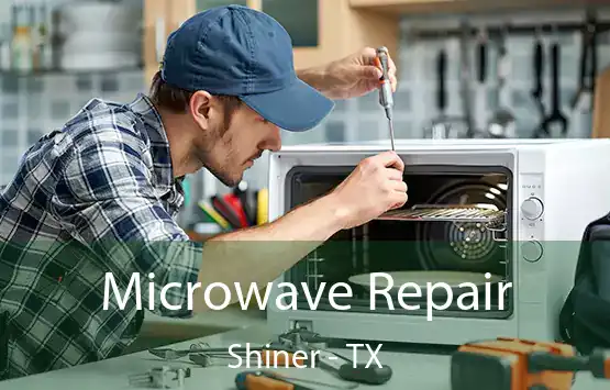  Microwave Repair Shiner - TX