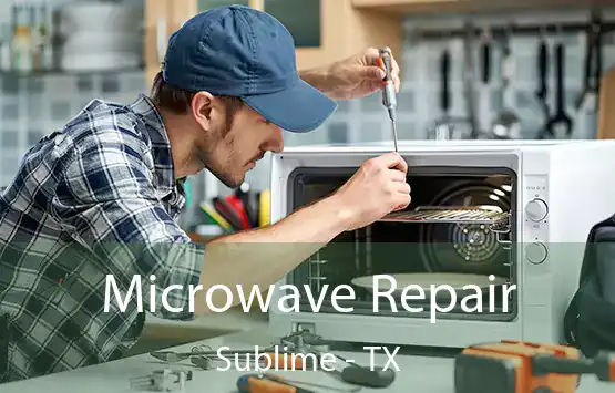 Microwave Repair Sublime - TX