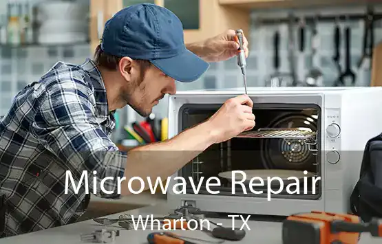  Microwave Repair Wharton - TX