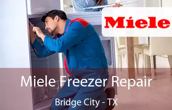  Miele Freezer Repair Bridge City - TX