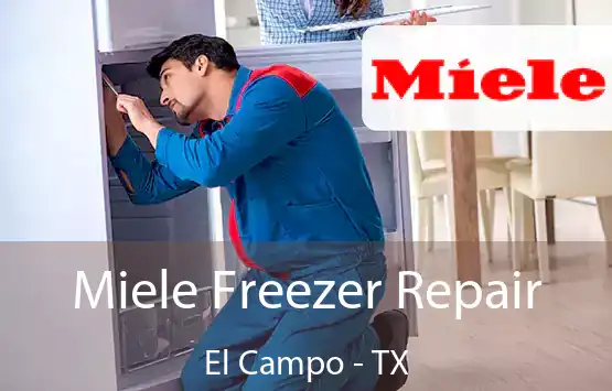  Miele Freezer Repair El Campo - TX