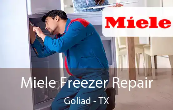  Miele Freezer Repair Goliad - TX