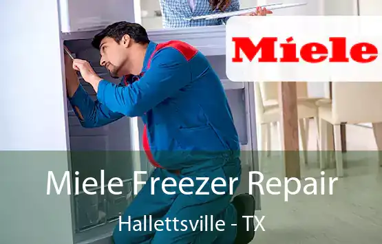  Miele Freezer Repair Hallettsville - TX