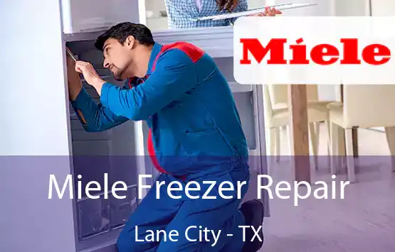  Miele Freezer Repair Lane City - TX