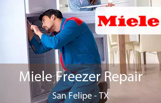  Miele Freezer Repair San Felipe - TX
