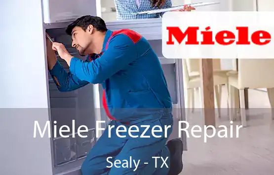  Miele Freezer Repair Sealy - TX