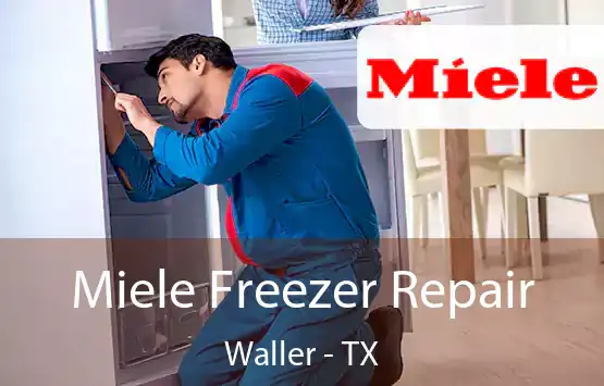  Miele Freezer Repair Waller - TX