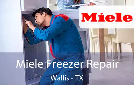  Miele Freezer Repair Wallis - TX