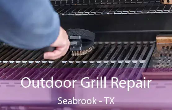  Outdoor Grill Repair Seabrook - TX
