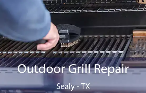  Outdoor Grill Repair Sealy - TX