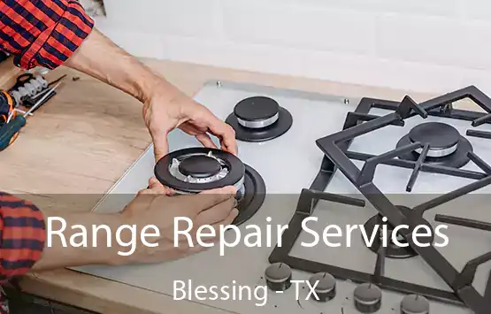  Range Repair Services Blessing - TX