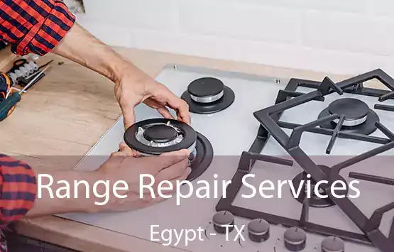  Range Repair Services Egypt - TX