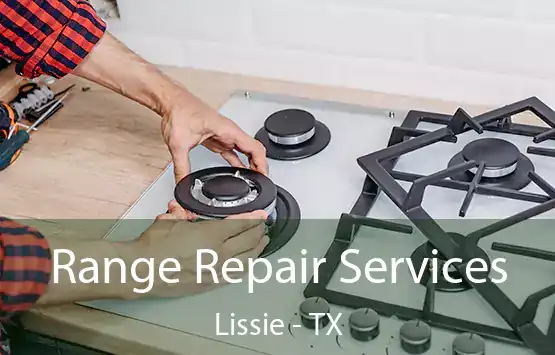  Range Repair Services Lissie - TX