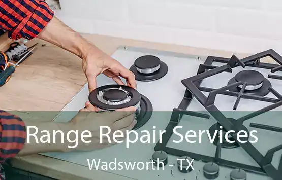  Range Repair Services Wadsworth - TX