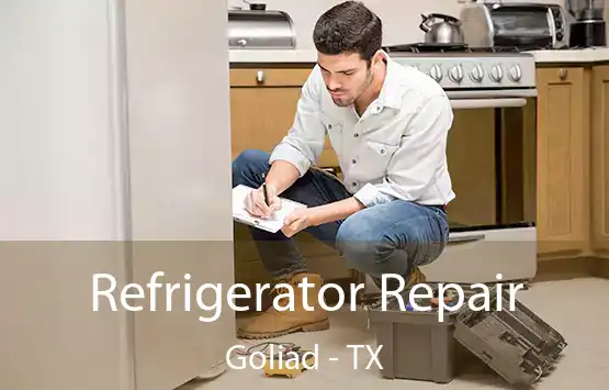  Refrigerator Repair Goliad - TX
