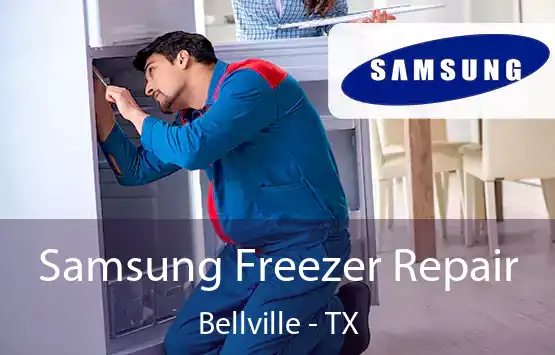  Samsung Freezer Repair Bellville - TX