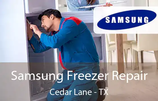  Samsung Freezer Repair Cedar Lane - TX