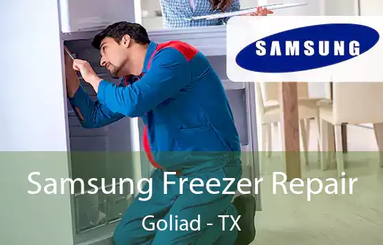  Samsung Freezer Repair Goliad - TX