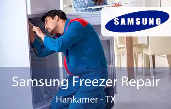  Samsung Freezer Repair Hankamer - TX