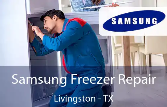  Samsung Freezer Repair Livingston - TX