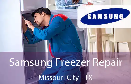  Samsung Freezer Repair Missouri City - TX