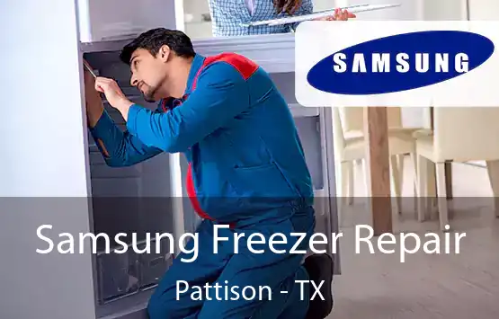  Samsung Freezer Repair Pattison - TX