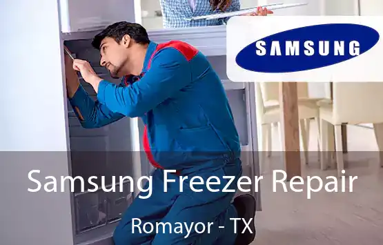  Samsung Freezer Repair Romayor - TX