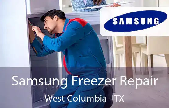 Samsung Freezer Repair West Columbia - TX
