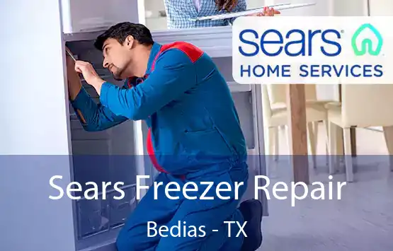  Sears Freezer Repair Bedias - TX