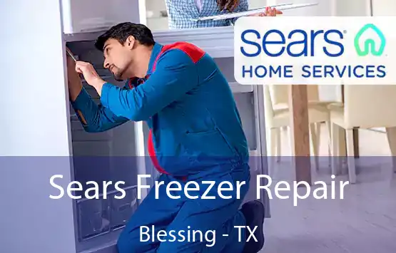  Sears Freezer Repair Blessing - TX