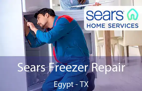  Sears Freezer Repair Egypt - TX