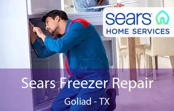  Sears Freezer Repair Goliad - TX