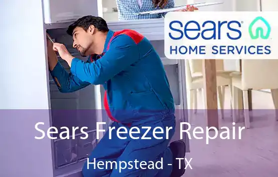  Sears Freezer Repair Hempstead - TX