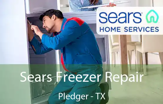  Sears Freezer Repair Pledger - TX