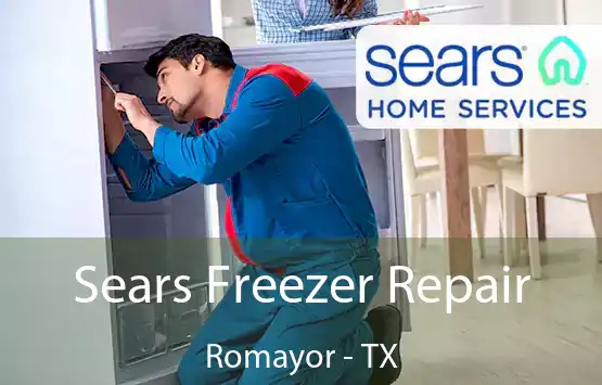  Sears Freezer Repair Romayor - TX