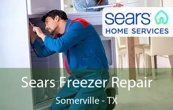  Sears Freezer Repair Somerville - TX