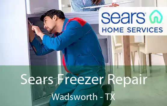  Sears Freezer Repair Wadsworth - TX