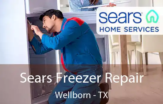  Sears Freezer Repair Wellborn - TX