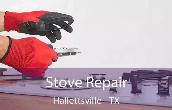  Stove Repair Hallettsville - TX