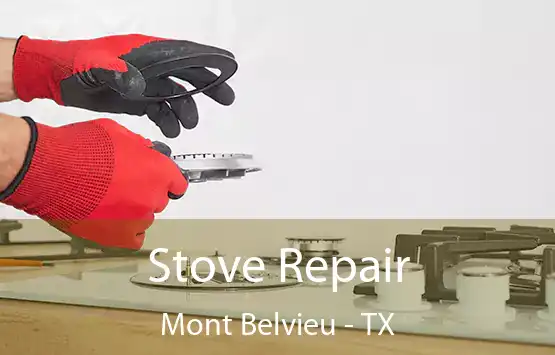  Stove Repair Mont Belvieu - TX