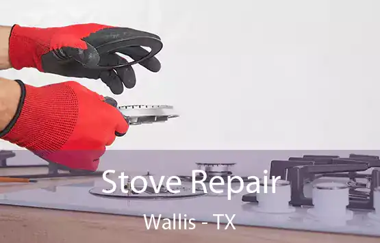  Stove Repair Wallis - TX