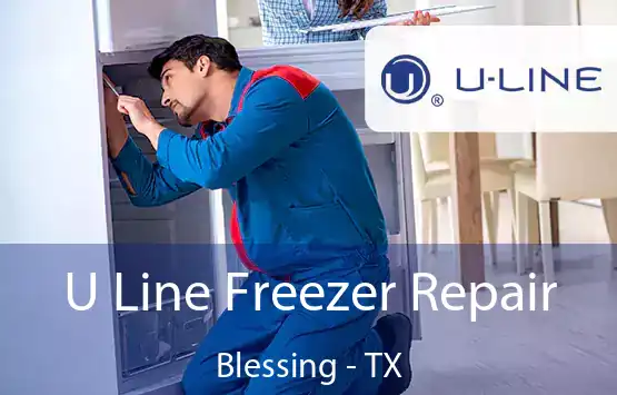  U Line Freezer Repair Blessing - TX