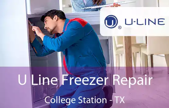  U Line Freezer Repair College Station - TX